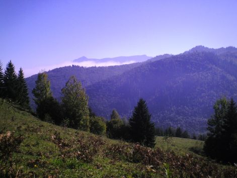 100-0049.jpg