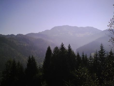 100-0050.jpg
