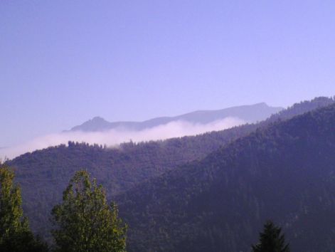 100-0051.jpg