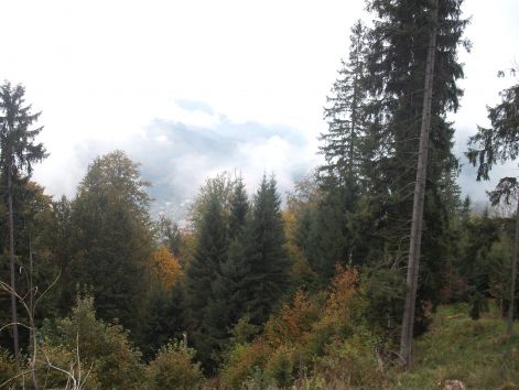 dscf0055.jpg