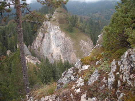 dscf0055.jpg